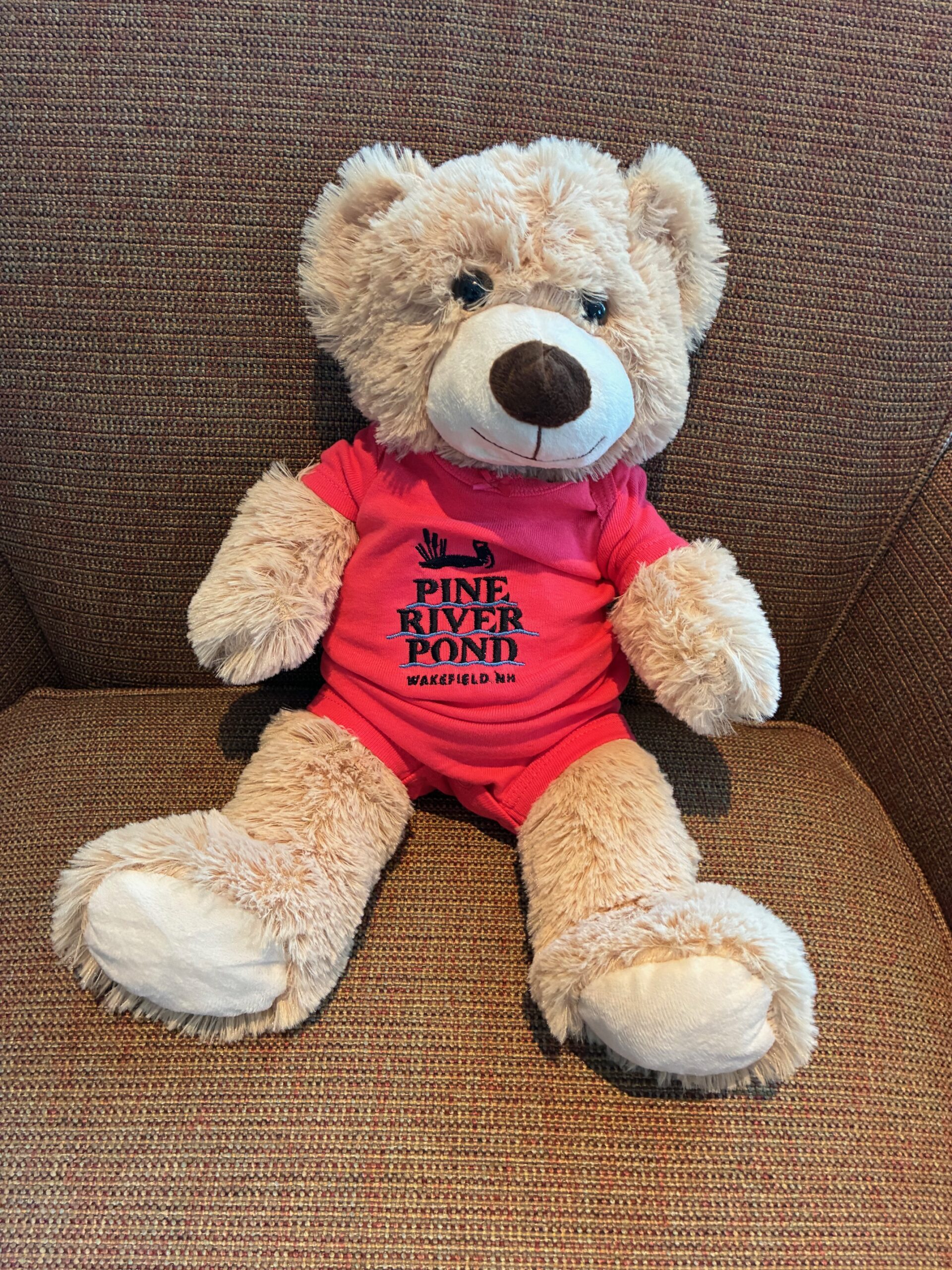 Teddy Bear with PRP Shirt - Image 3