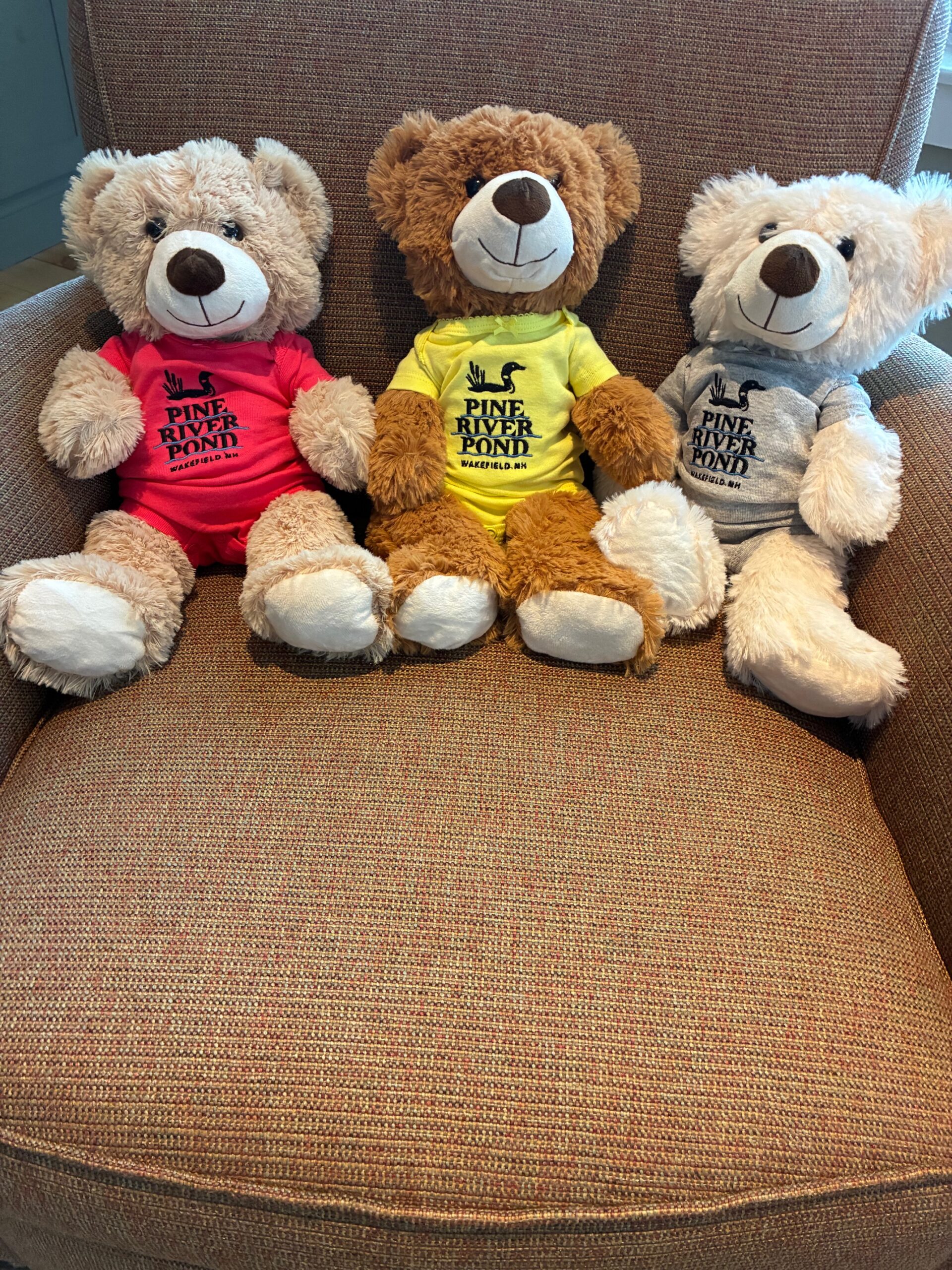 Teddy Bear with PRP Shirt